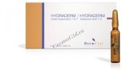Dermclar Hydraderm Hyaluronic Acid (Ампульный препарат Гидрадерм "Гиалуроновая кислота"), 2 мл. - 